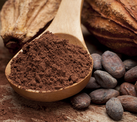 5 benefici del cacao per la tua salute