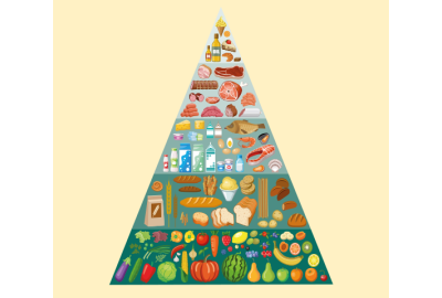 Come funziona la piramide dell'alimentazione?