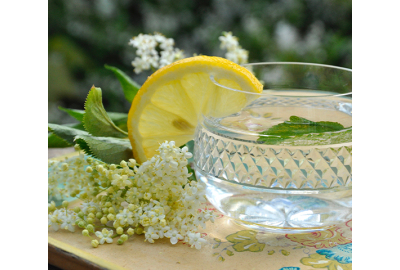 6 proprietà dei fiori di sambuco