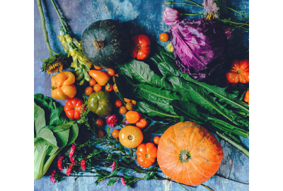 Quali sono le proprietà delle verdure? 