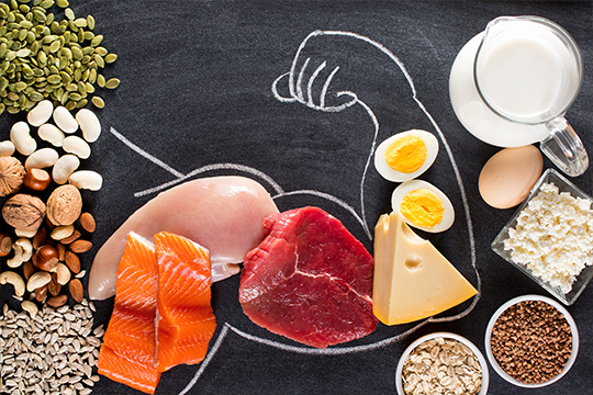 Che cos'è la dieta “plank”?