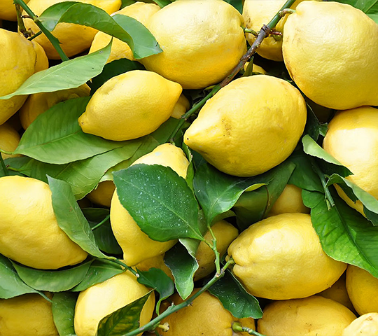 Quali vitamine ha il limone?