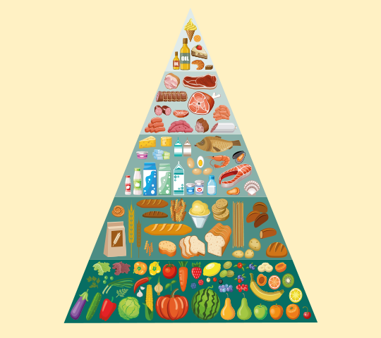 Come funziona la piramide dell'alimentazione?