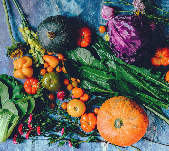 Quali sono le proprietà delle verdure?